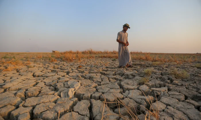 Syria Faces Worst Drought in Decades, Pushing Millions Toward Crisis